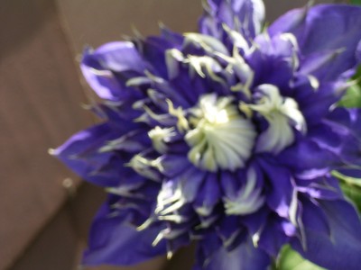 RIMG0142.JPG