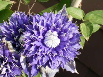 RIMG0141.JPG