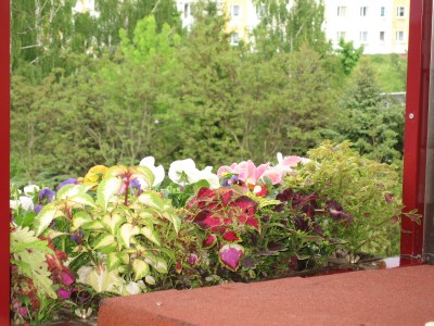 IMG_7574.JPG