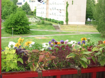 IMG_7573.JPG