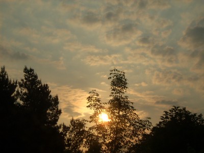 Sonnenaufgang am 16.05.2008.JPG