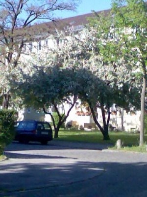 Bild 016.jpg