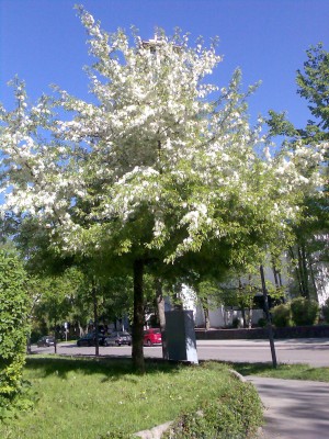 Bild 014.jpg