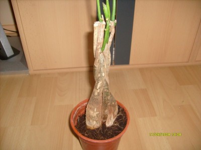S7300330.JPG