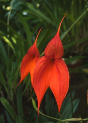 DSCF2817.JPG