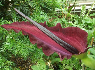 DSCF2922.JPG