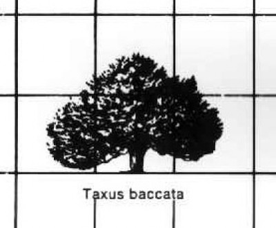 Nadel3.jpg