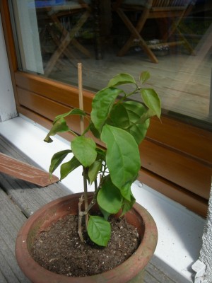 DSCN5079.JPG