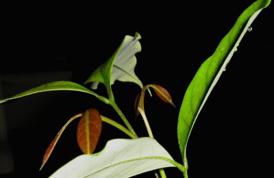 2008-05-18 040.jpg