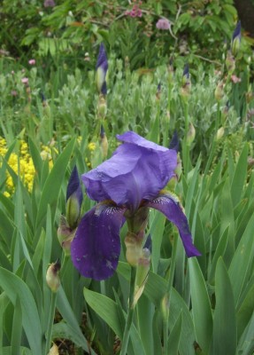 DSCF3157.JPG