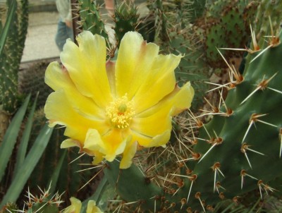 DSCF3050.JPG
