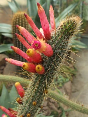 DSCF3035.JPG