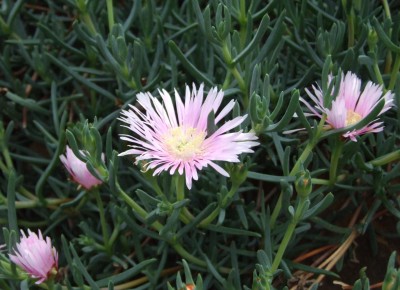 DSCF3028.JPG