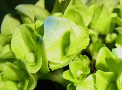 2008-05-19 021.jpg