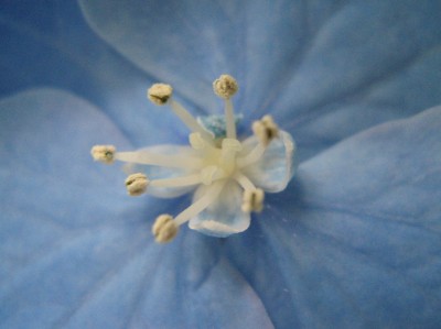 2008-05-19 030.jpg