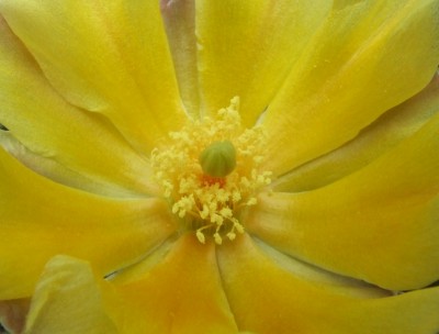 DSCF3052.JPG