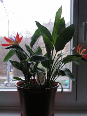 PICT0112.JPG