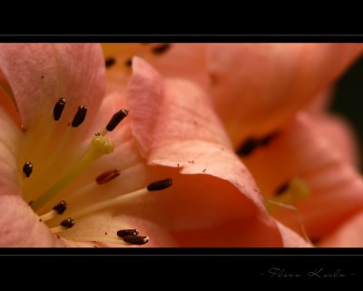 Untitled-6.jpg