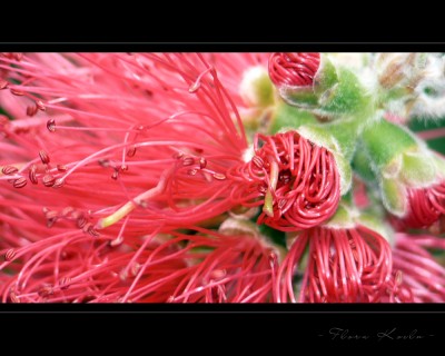 Untitled-5.jpg