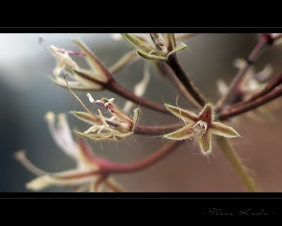 Untitled-4.jpg