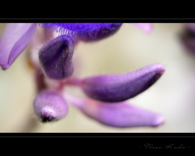 Untitled-2.jpg