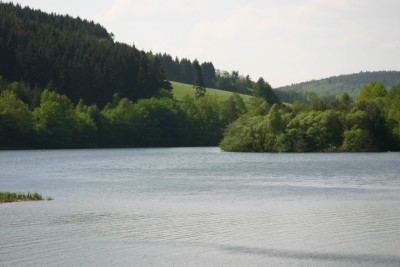 img_1296.jpg.jpg
