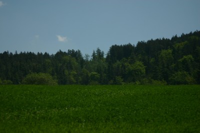 img_1243.jpg.jpg
