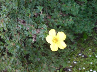 DSC00112.JPG