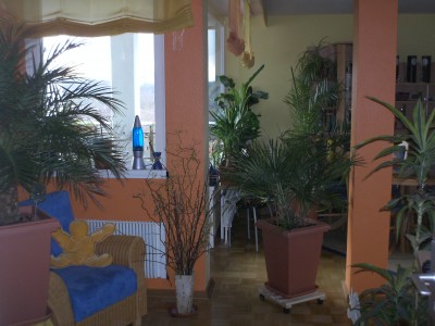 PICT0031.JPG