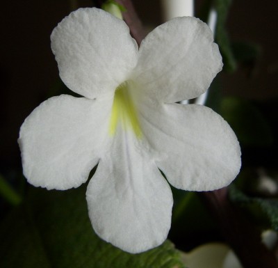 DSCI0003 - Kopie.JPG
