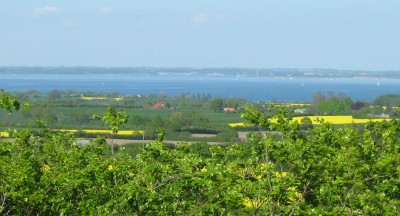 IMG_5553a.JPG