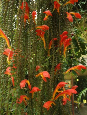 DSCF3064.JPG