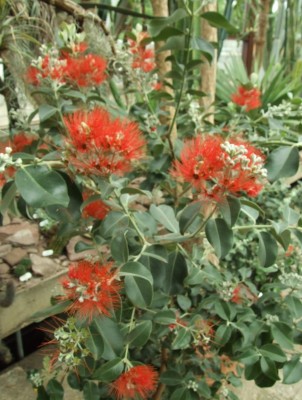 DSCF3047.JPG