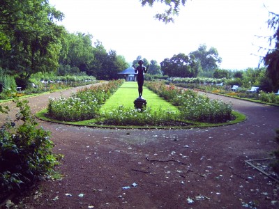 33460169.JPG