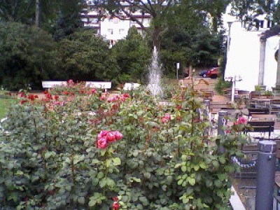 Bild2.jpg