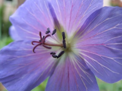 DSCF1729.JPG