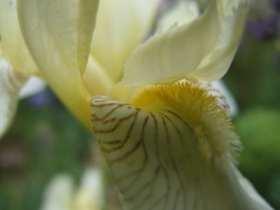 DSCF1702.JPG