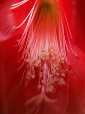 DSCF1674.JPG