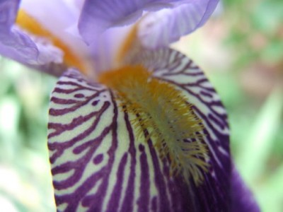 DSCF1650.JPG