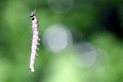 garten15.jpg