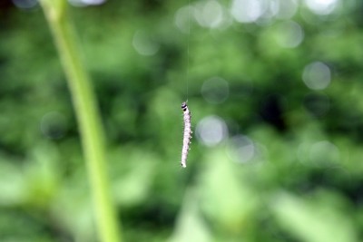 garten14.jpg