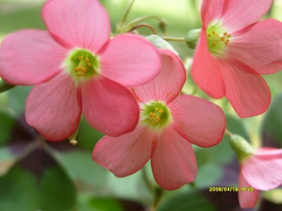S7302588.JPG