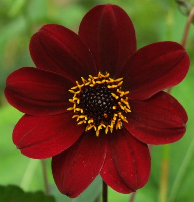 DSCF0341.JPG