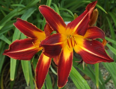 DSCF0244.JPG