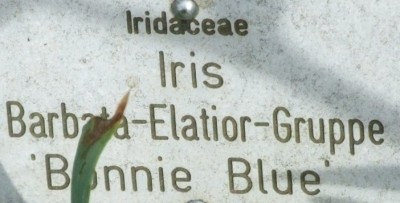 DSCF3232.JPG