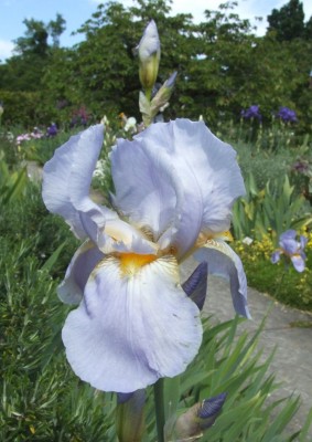 DSCF3213.JPG