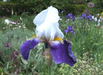 DSCF3199.JPG