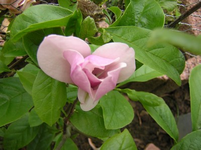 DSCN2760.JPG