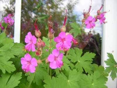 DSCN2758.JPG