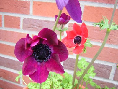 DSCN2756.JPG